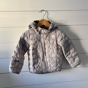 The North Face Gray Thermoball Jacket Infant 12-18 Mo